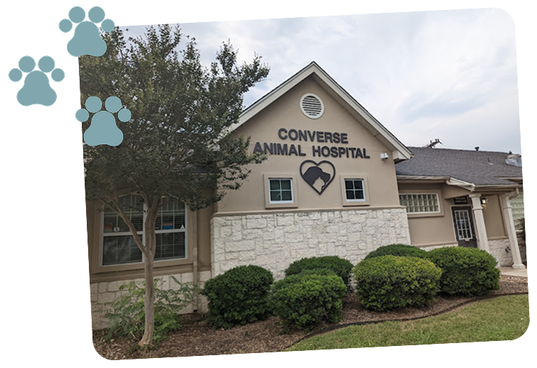 A view from the outside of our animal hospital.